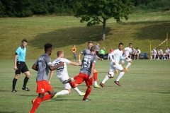 20180706_FCAII_ULM_09