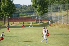 20180706_FCAII_ULM_33