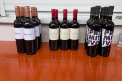 Weinfest_2025_11
